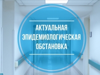 Эпизситуация на территории Российской Федерации